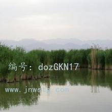 ҵ