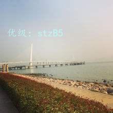 ׶