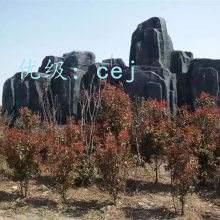 ̨